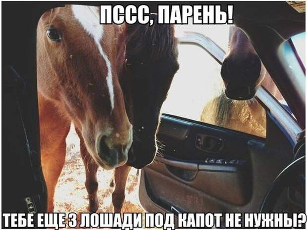 Подборка автомобильных приколов (34 фото) Подборка автомобильных приколов (34 фото)