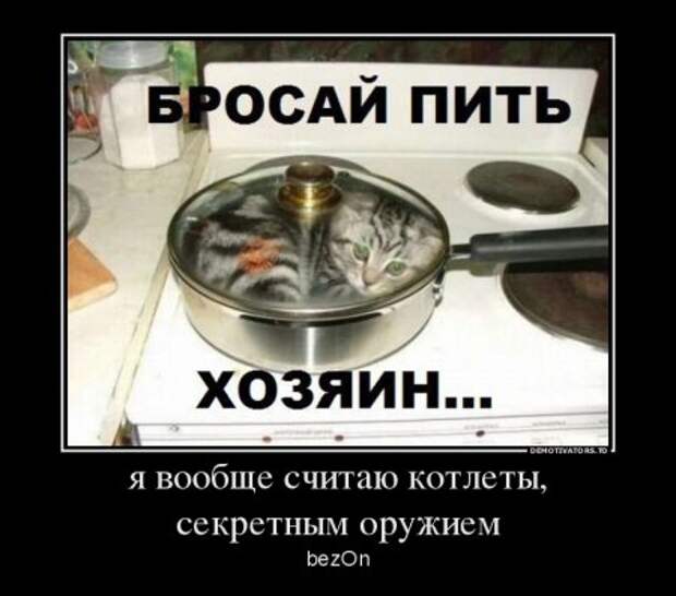 Демотиваторы, наши прикольные цитаты.