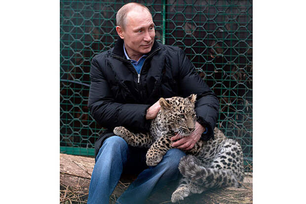 Владимир Владимирович Путин и звери добро, животные, мир, путин, россия