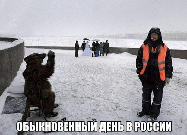 Прикольные картинки (107 фото)