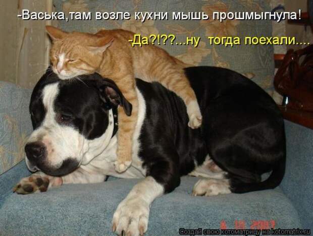 Мысли вслух :)