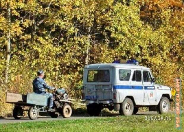 Прикольные картинки (31 шт)