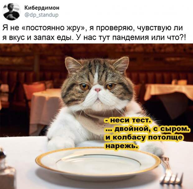 Картинки про коронавирус
