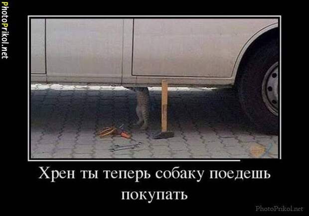 Смешные и прикольные демотиваторы Смешные и прикольные демотиваторы