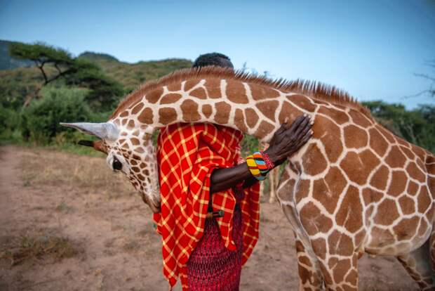Reteti Elephant Sanctuary, Kenya Ami Vitale | Missoula, United States