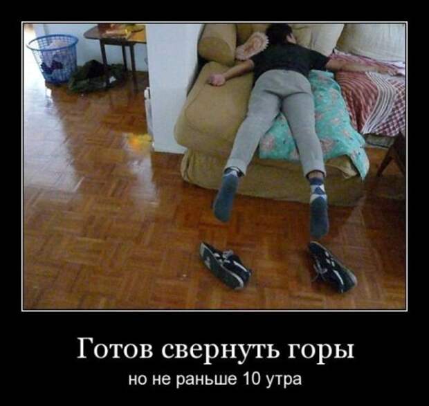 Демотиваторы прикольчики (25 шт)