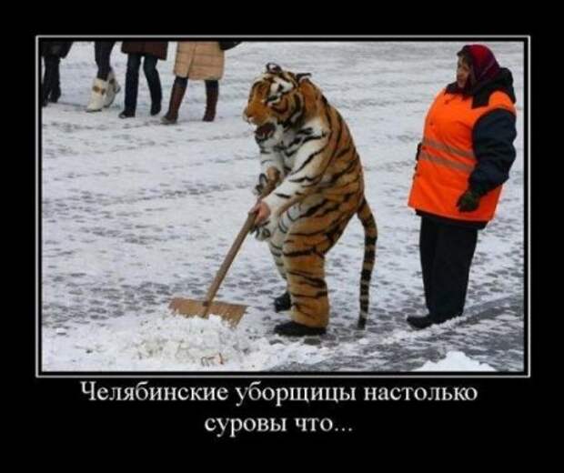Демки, последние прикольные.