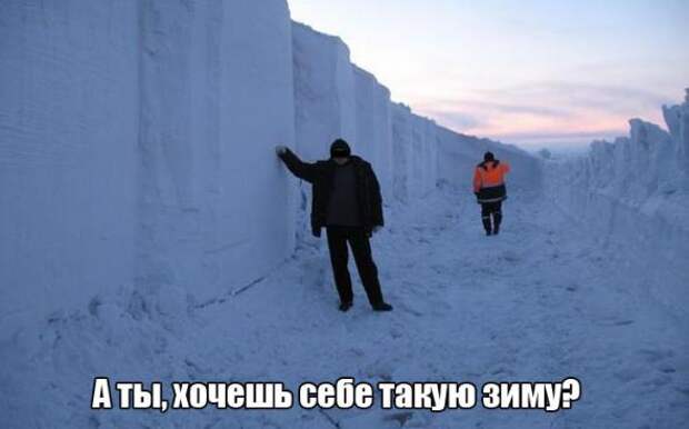 Смешная галерея фотоприколов  # 62