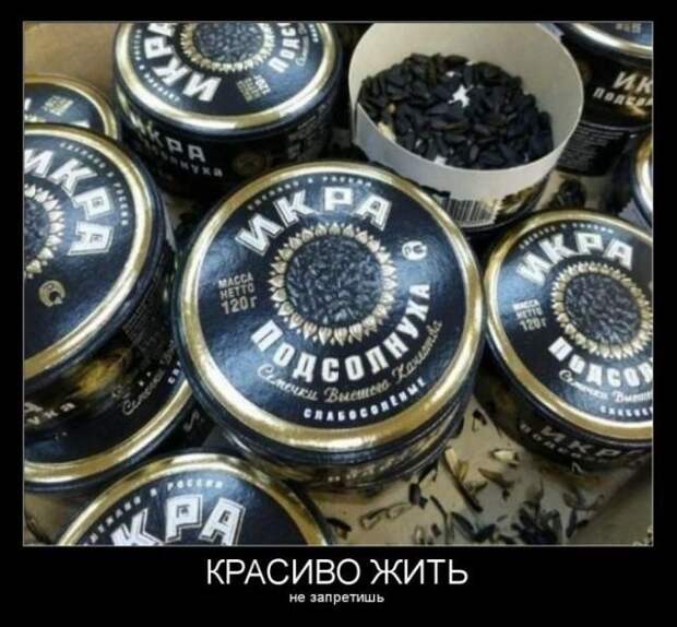 Сборник прикольных демотивационных картинок Сборник прикольных демотивационных картинок