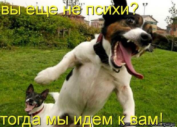 Мысли вслух :)
