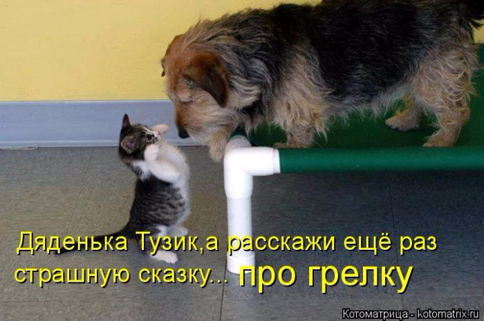 1429823372_07 (700x465, 264Kb)