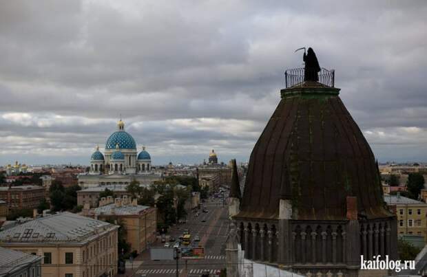 Инсталляция по-русски (45 фото)