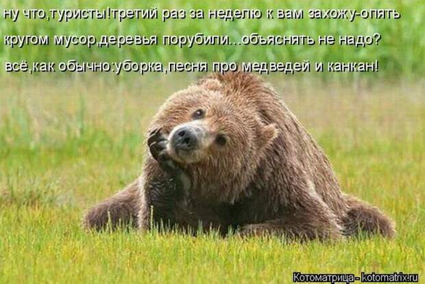 Лучшие котоматрицы недели (50 фото) Лучшие котоматрицы недели (50 фото)