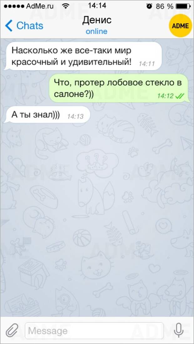 15 СМС от людей с бесценным жизненным опытом