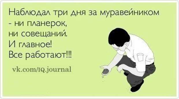 Писанина 6