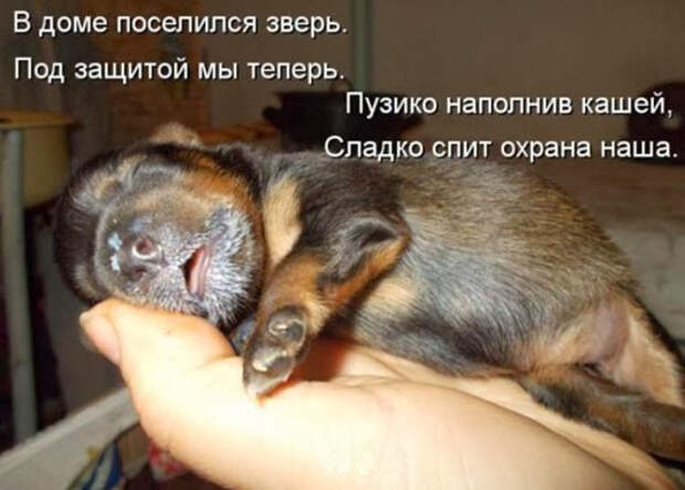 c5f978e75bfe1c2b923d381d33a_prev