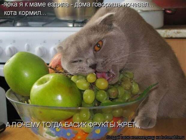 Мысли вслух :)