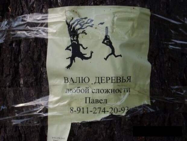 Классная коллекция забавных надписей и  объявлений