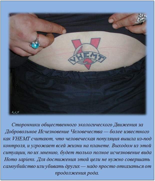 Интересные факты обо всём на свете Интересные факты обо всём на свете