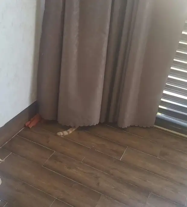 ?