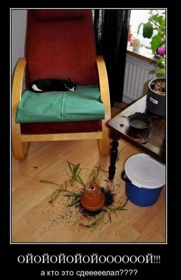 Демотиваторы демотиваторы, прикол, смех, юмор