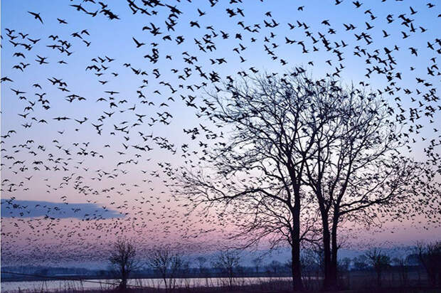 25 лучших фотографий National Geographic 2015