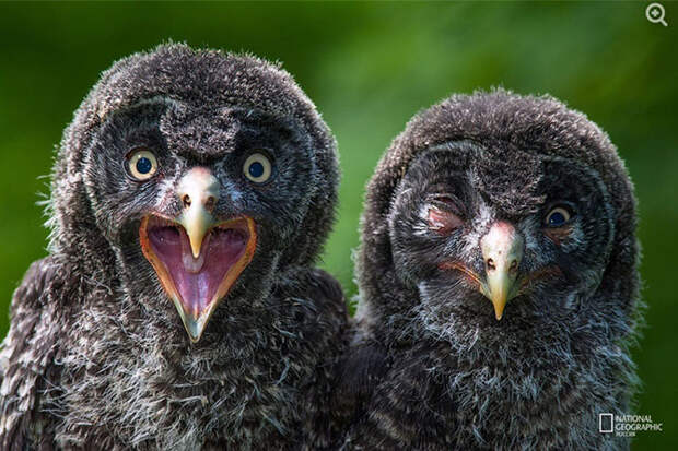 Лучшие фотографии сентября 2015 от National Geographic