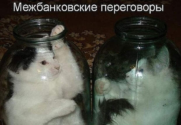 Картинки, приколы