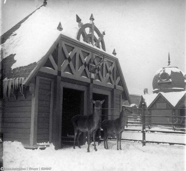 Москва 1900-1914 годов в фотографиях Сергея Челнокова Сергей Челноков, архив, история, москва, фото