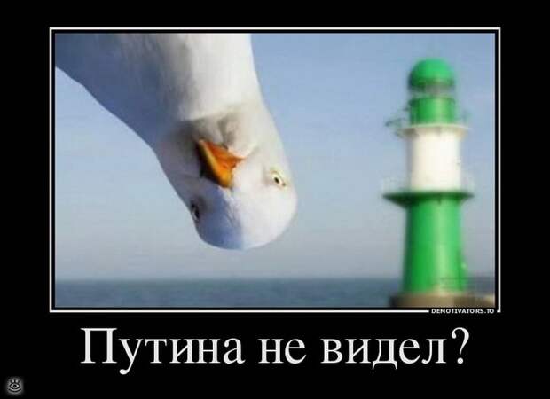 Покой нам только снится! 28