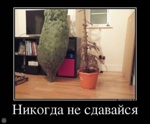 Всё тлен и суета, кроме радости 9
