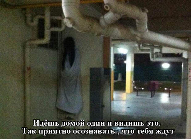 Приколы на Relax.ru от 22 июля