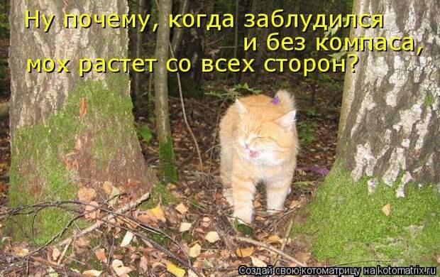 Мысли вслух :)