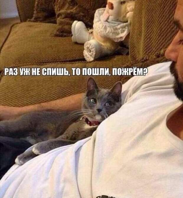 Картинки, юмор, приколы