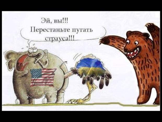 Анекдот об войне Украины с Россией я думаю реаленей некуда