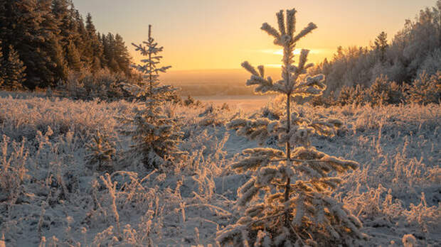 20 самых ярких фотографии 2022 года, которые я поймал в свой объектив