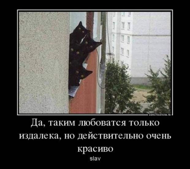 Демотиваторы, наши прикольные цитаты.