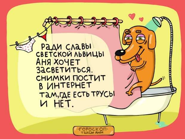 Найди свой знак в гороскопе таксы Ани гороскоп, такса