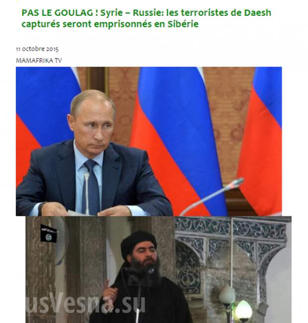 Боевиков ИГИЛ сошлют в Сибирь и сделают рабами, — «Голос Ливии» (ФОТО) | Русская весна
