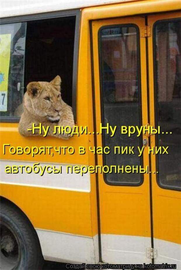 фотографий животных с подписями (50 фото)