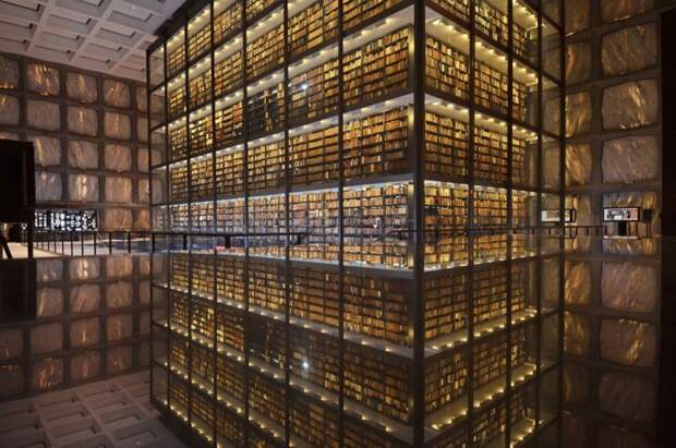 magnifique-bibliotheque-10