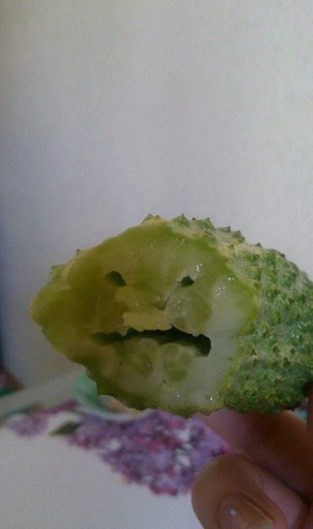 Они следят за тобой