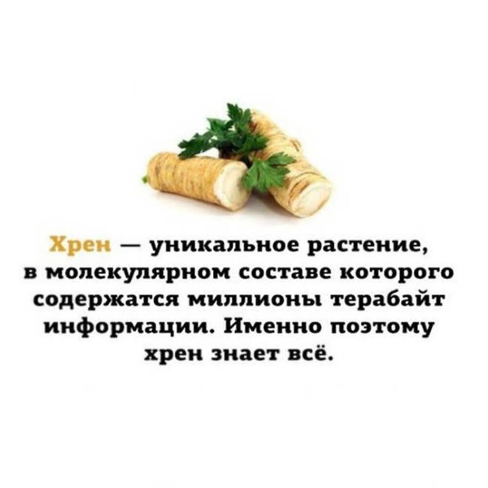 Люди хрен на блюде. Прикольные стихи про хрен. Смешные высказывания про хрен. Шуточные стихи про хреновину. Веселый хрен.