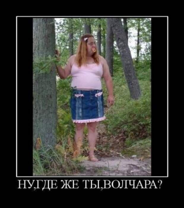 Новейшие демотиваторы все юморные.