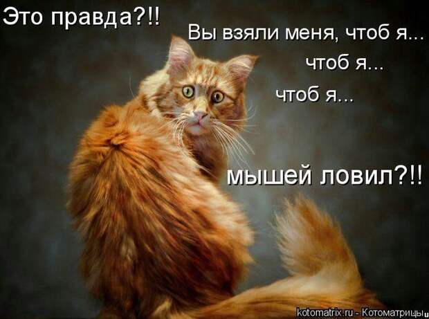 Мысли вслух :)