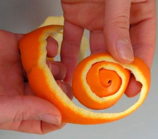 розы из апельсинов
