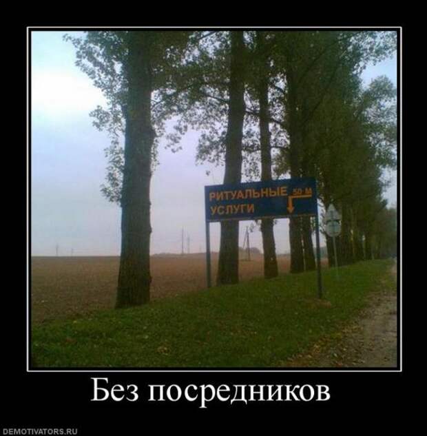 Подборка новых демотиваторов)