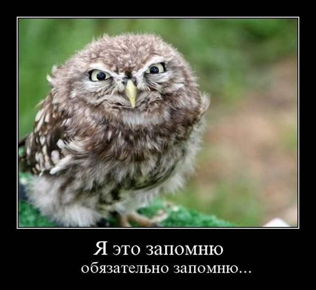 Демотиваторы (30 фото)