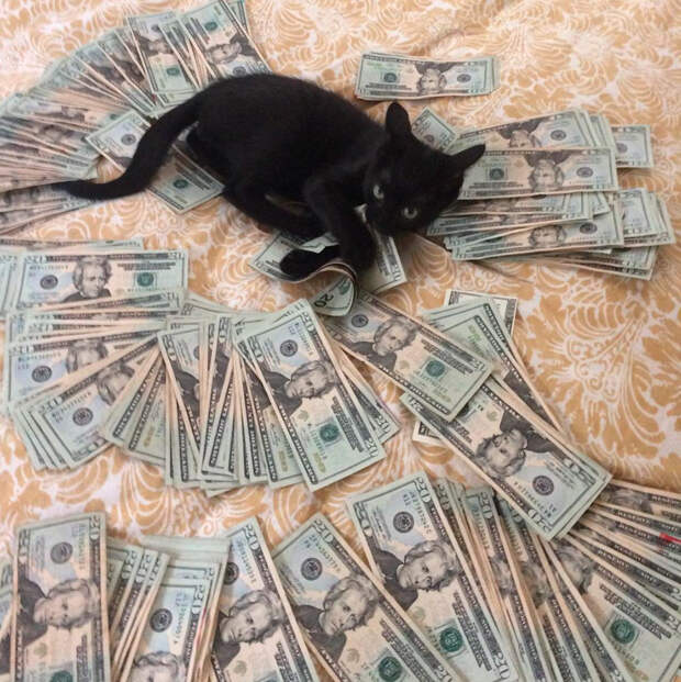 cash-5