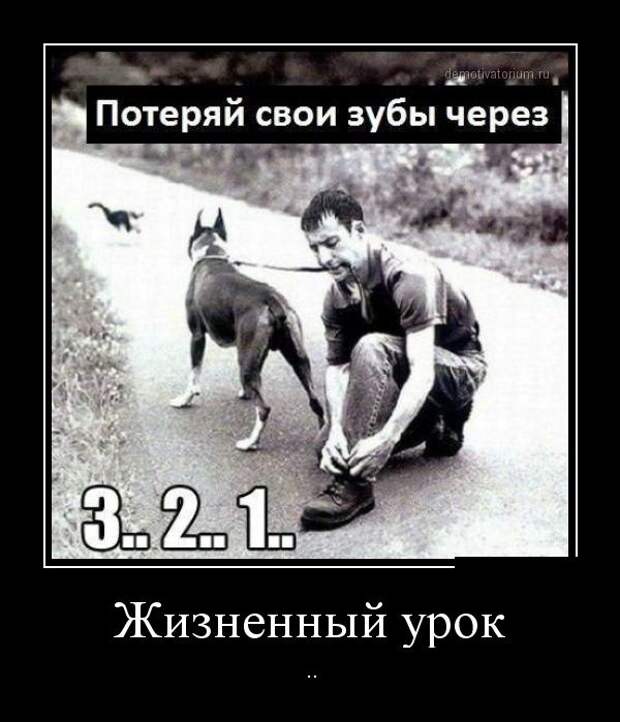 Демотиваторы №1050 (30 фото) Демотиваторы №1050 (30 фото)